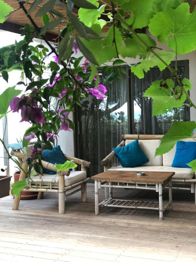 Above The Sea Villa Ein Hod Exterior photo