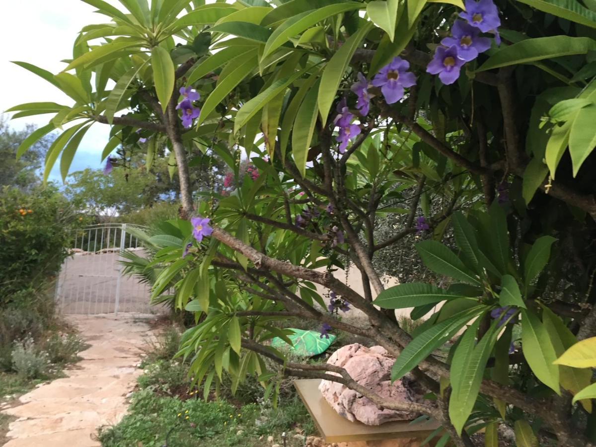 Above The Sea Villa Ein Hod Exterior photo