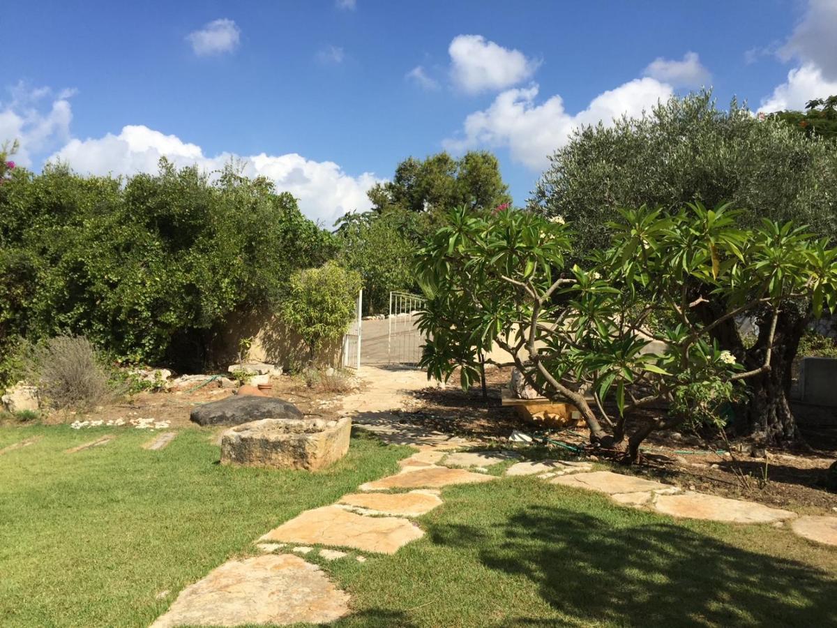 Above The Sea Villa Ein Hod Exterior photo