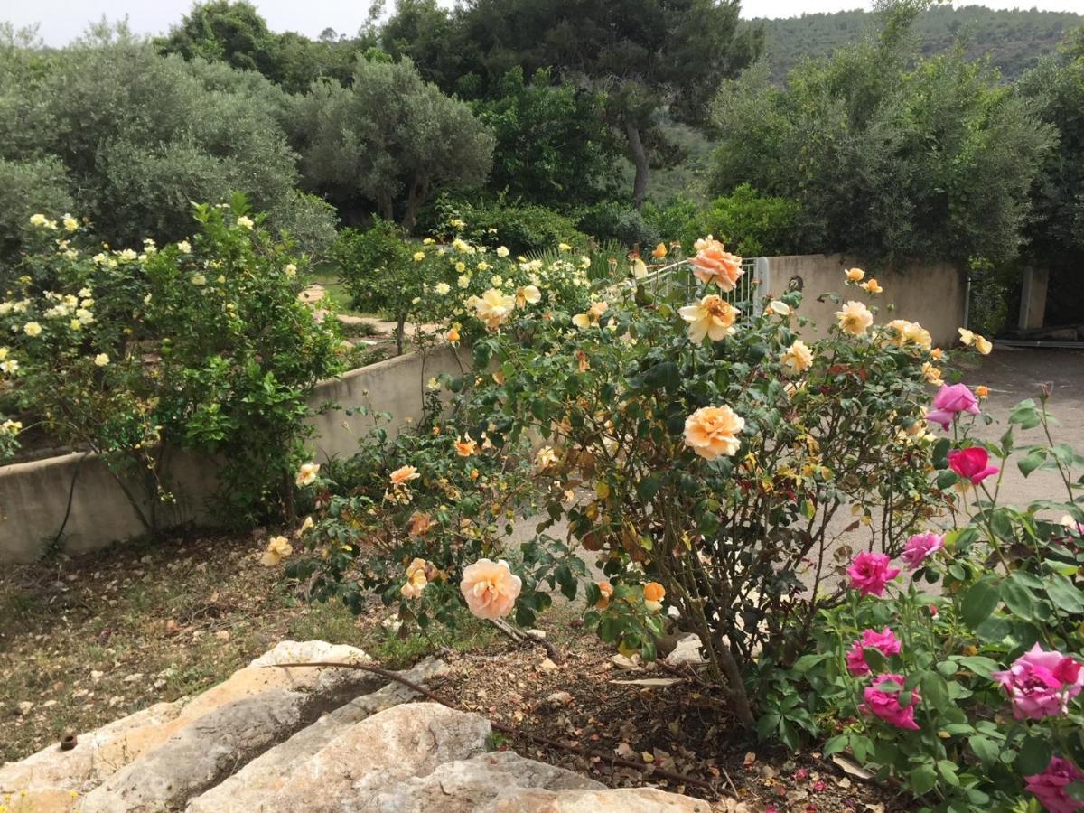 Above The Sea Villa Ein Hod Exterior photo