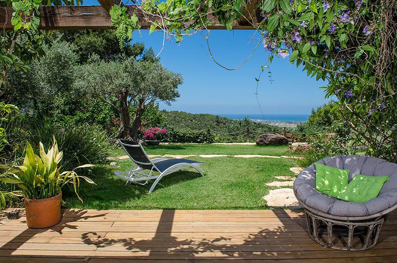 Above The Sea Villa Ein Hod Exterior photo