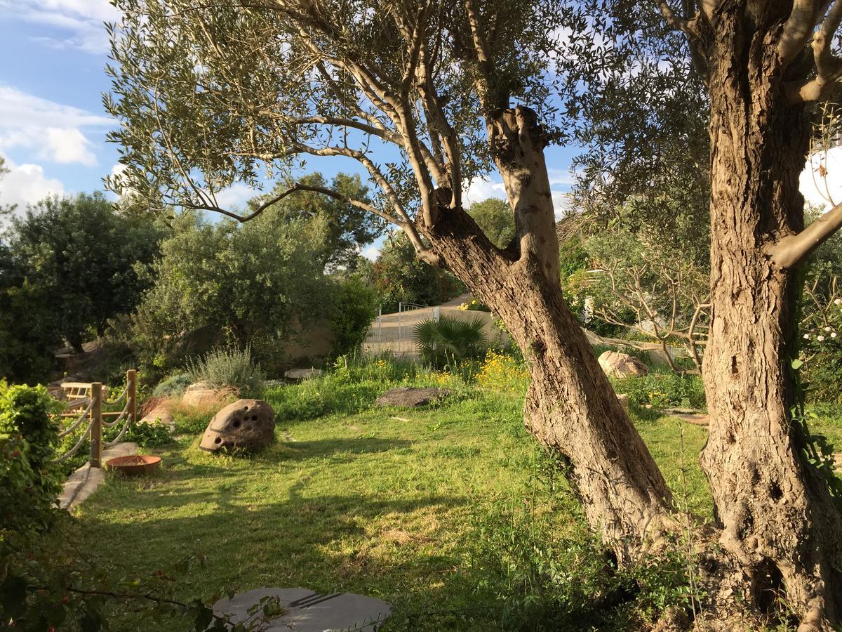 Above The Sea Villa Ein Hod Exterior photo